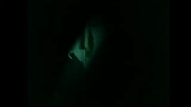 danistrial webcam