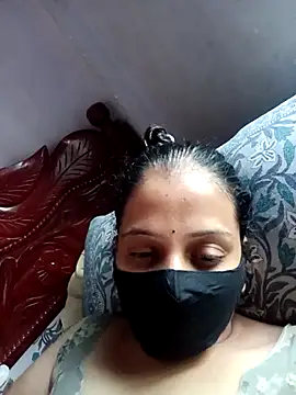 Hansikatelugu webcam