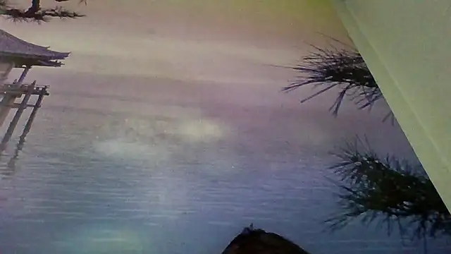 AliceTailor webcam