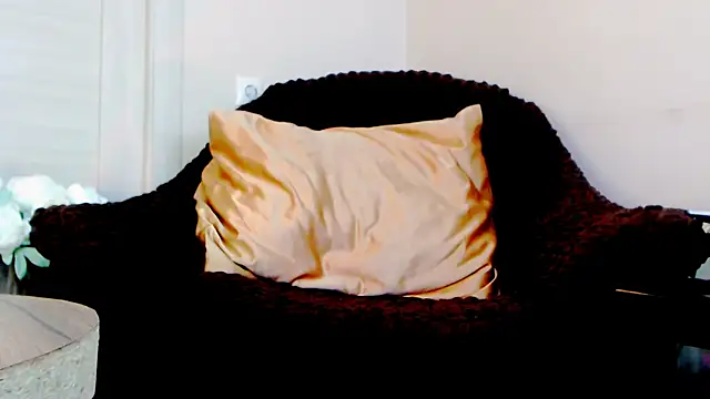 Live_View webcam