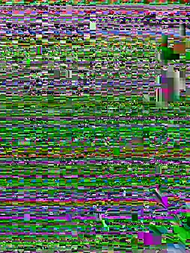 MariamGray1 webcam