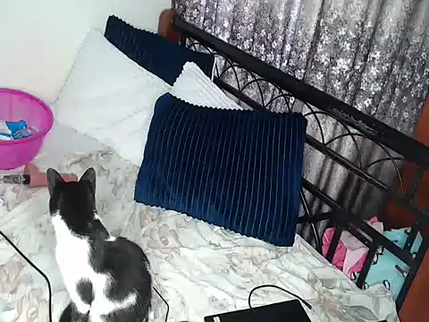 Whimsicalwillow webcam