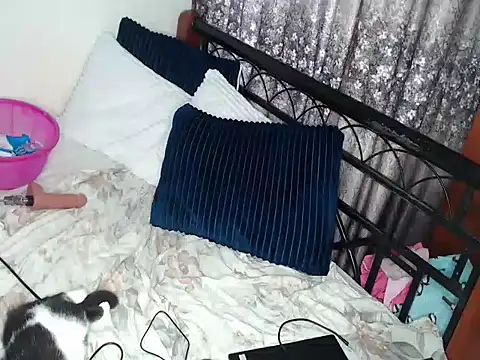Whimsicalwillow webcam