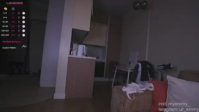 My_Emmy webcam