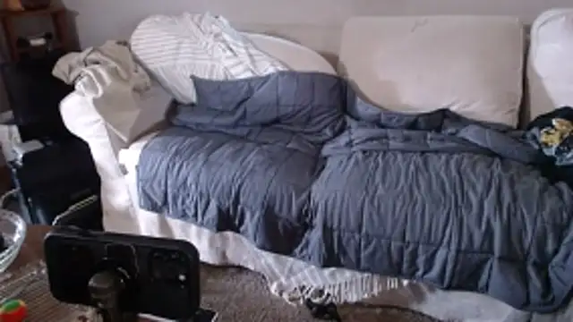 studlyhardwoodd webcam