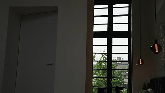 ibiddi webcam