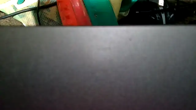 slinginbigD webcam