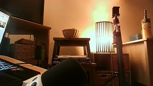 SirSageDaSavage webcam