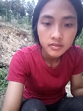 Hoa-tuylip webcam