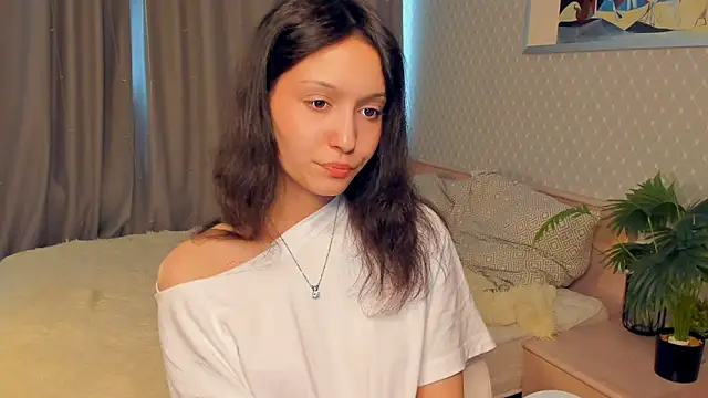 YunEiler webcam