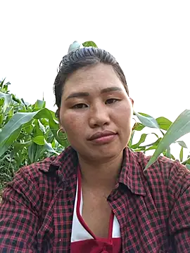 diamond-- webcam