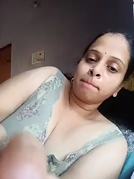 Hansikatelugu webcam