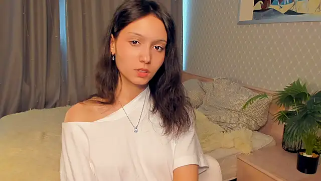 YunEiler webcam