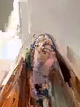 StreetCelebrity webcam