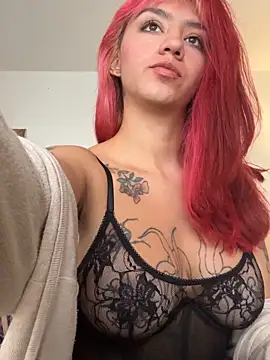 nth-li webcam