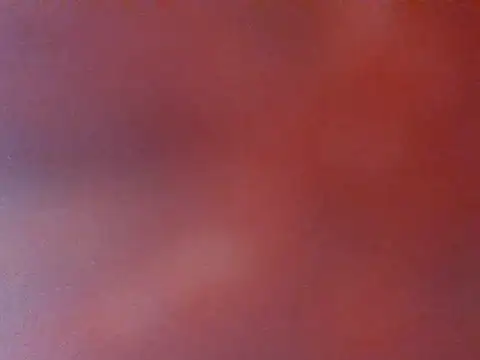 Your_jalak webcam