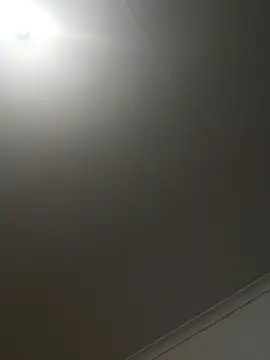 biggnipz webcam