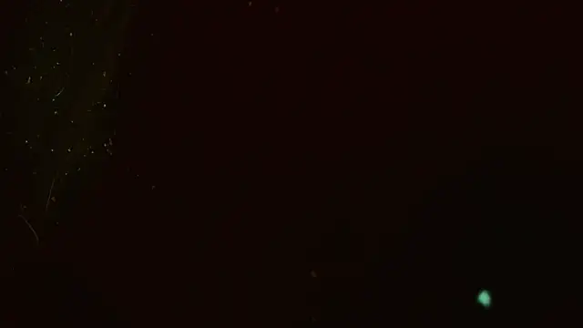 Gigadickman webcam