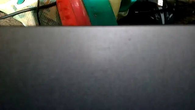 slinginbigD webcam