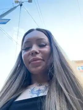 StreetCelebrity webcam