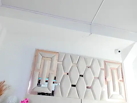 Gingerblis webcam