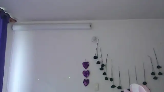 SLOPPYTITSS webcam