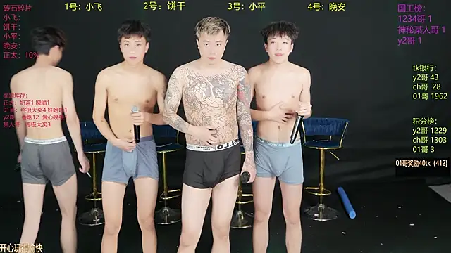 PerfectBoy-008 webcam