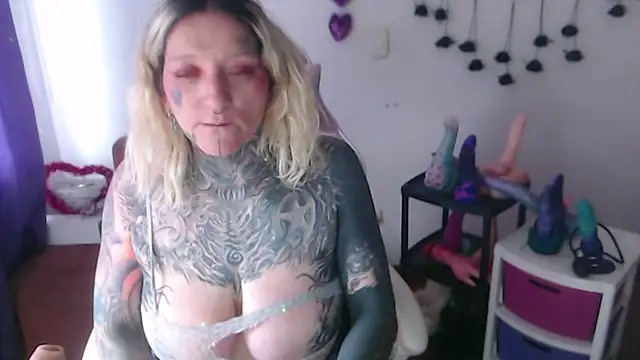 SLOPPYTITSS webcam