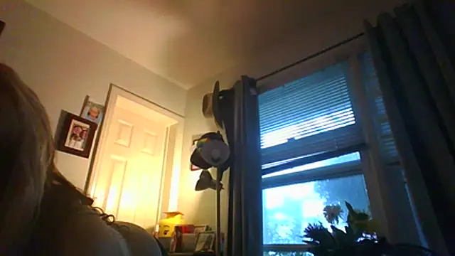 ajsin7 webcam
