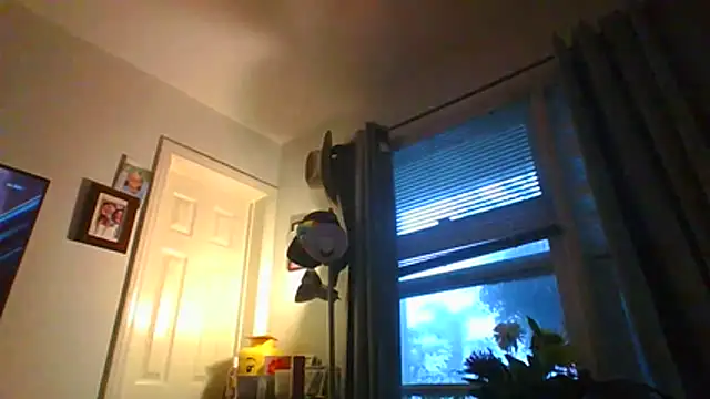 ajsin7 webcam