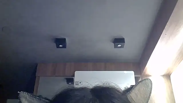 SkinnyKitten webcam