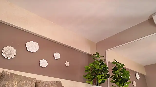 irisreid webcam
