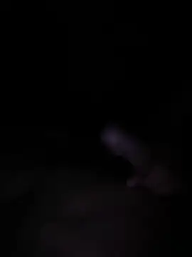 DAKSMACK369 webcam