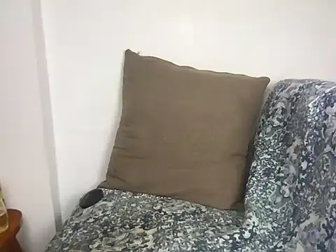 velvetvista webcam