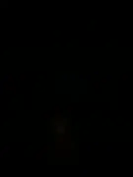 RoastingStatus webcam