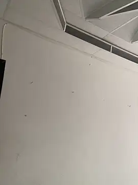 bear_mao_ webcam