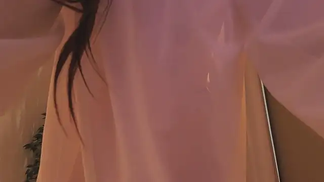 Alice-Lidel webcam