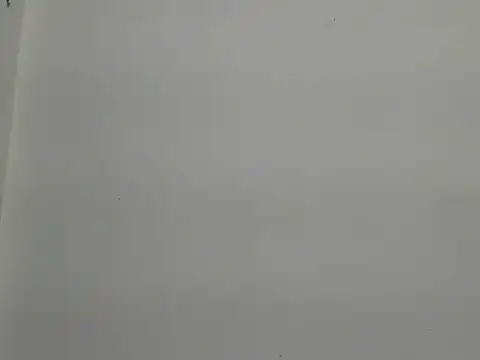 payaljaan800 webcam