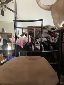 KBONE36 webcam