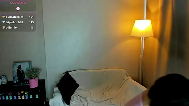 ErlinaBuoy webcam
