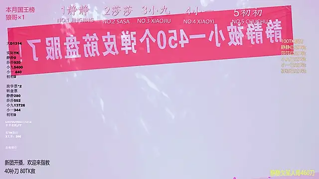 TY-002 webcam