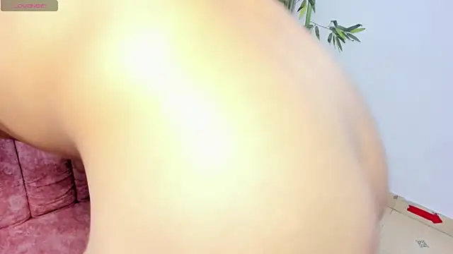 trans_dirtyshow webcam
