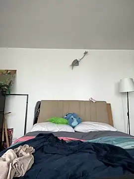 nth-li webcam