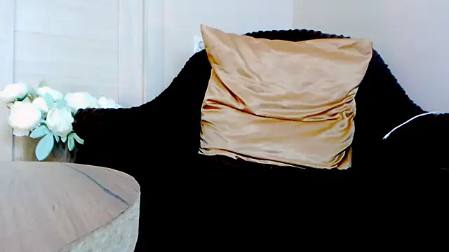 Live_View webcam