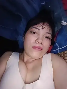 Sana-vn webcam