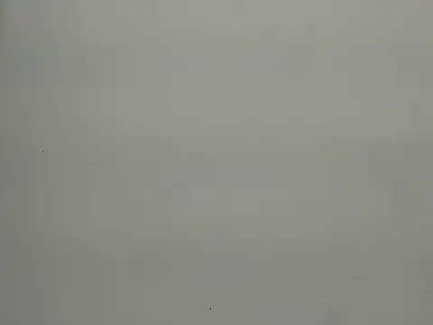 payaljaan800 webcam