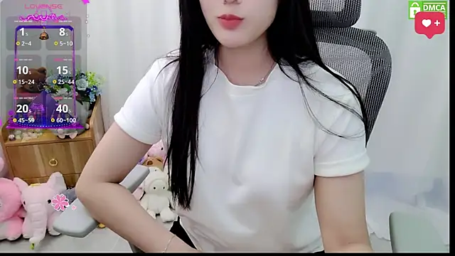 Dully_ana webcam