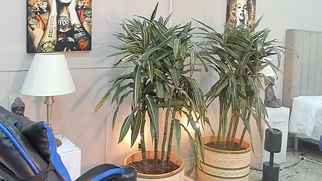 kai_storn webcam