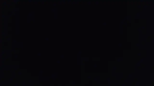 yourvibedealer webcam