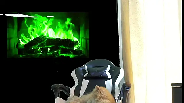 aronmiller404 webcam